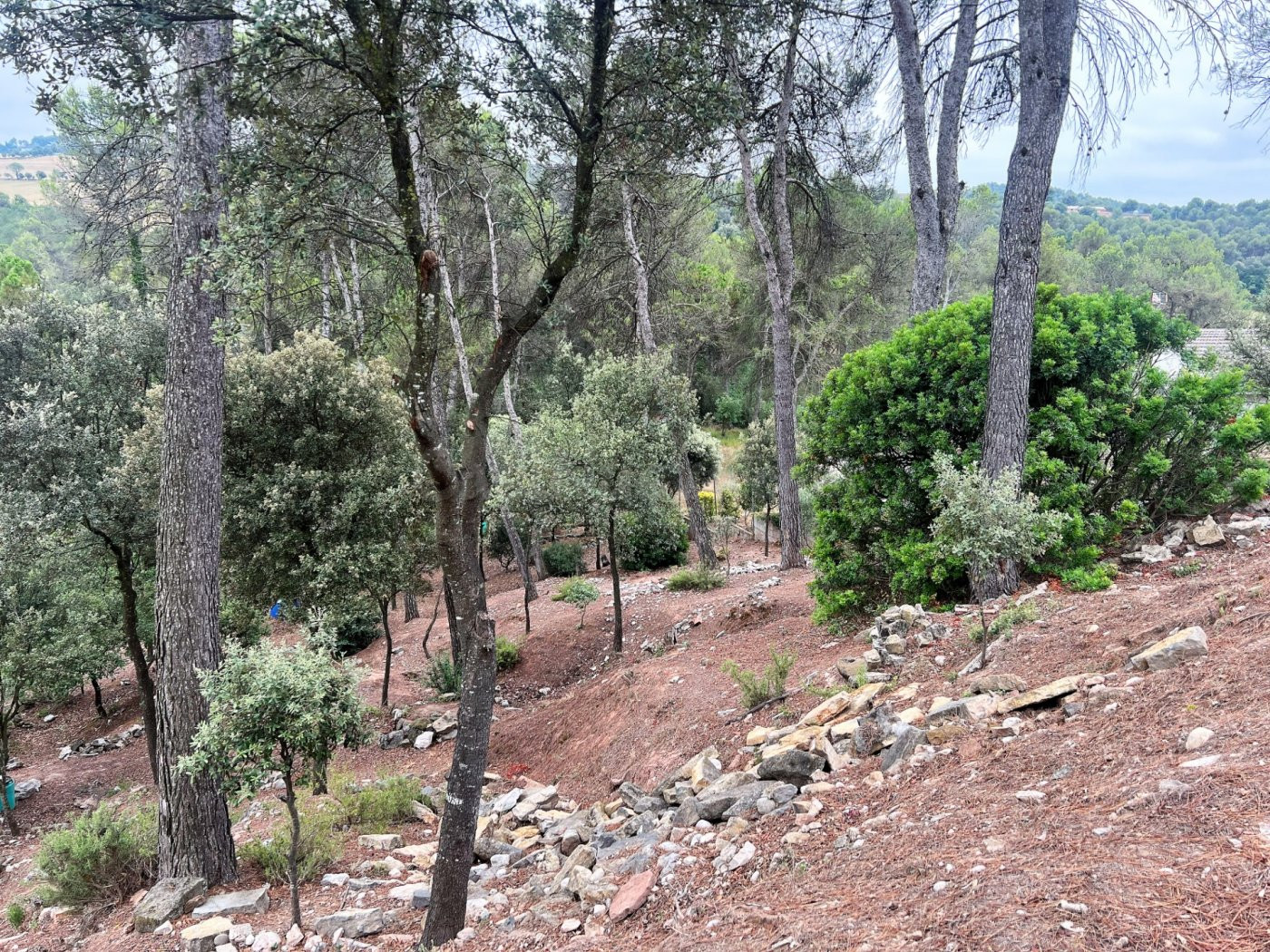 Parcela en Castellnou de Bages
