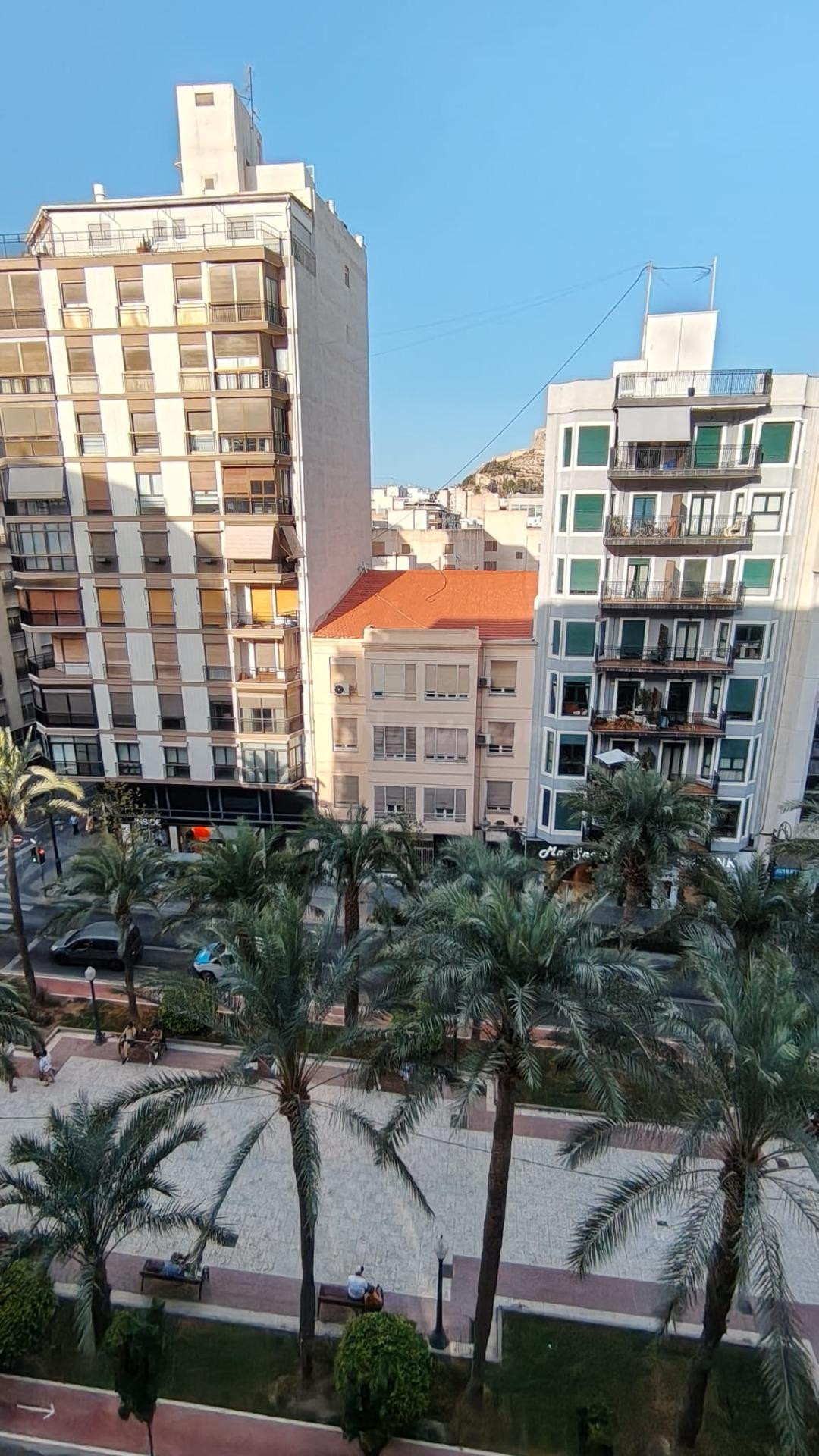 PRECIOSO PISO EN EL CENTRO DE ALICANTE EN ALQUILER