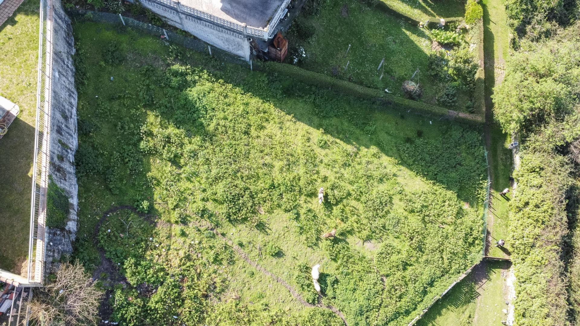 Parcela urbana de 784 m2 para dos chalets adosados con todos los servicios en Prahúa, Pravia.
