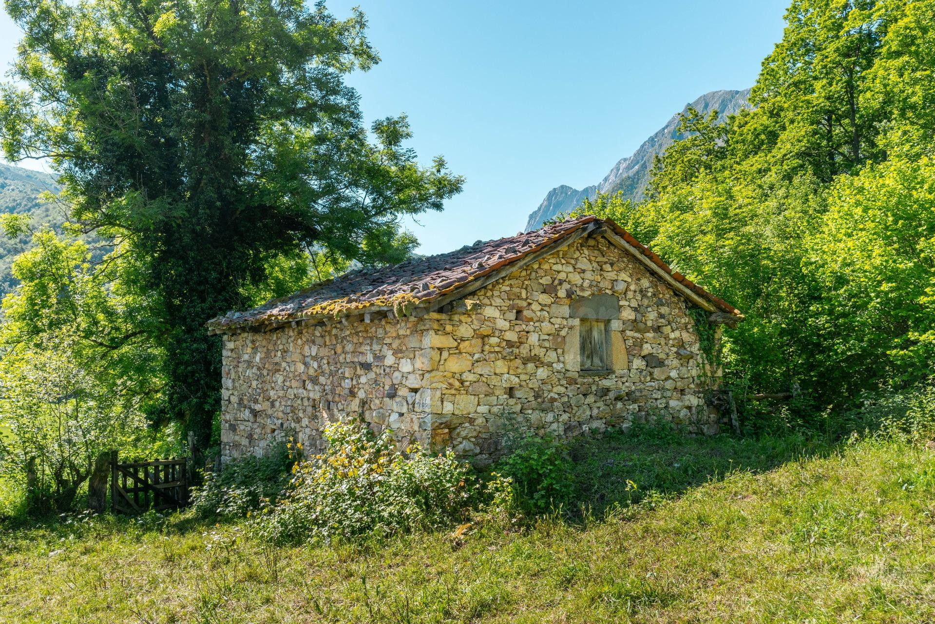 Auténtica cabaña tradicional asturiana situada en pleno corazón del Parque Natural Las Ubiñas-La Mesa