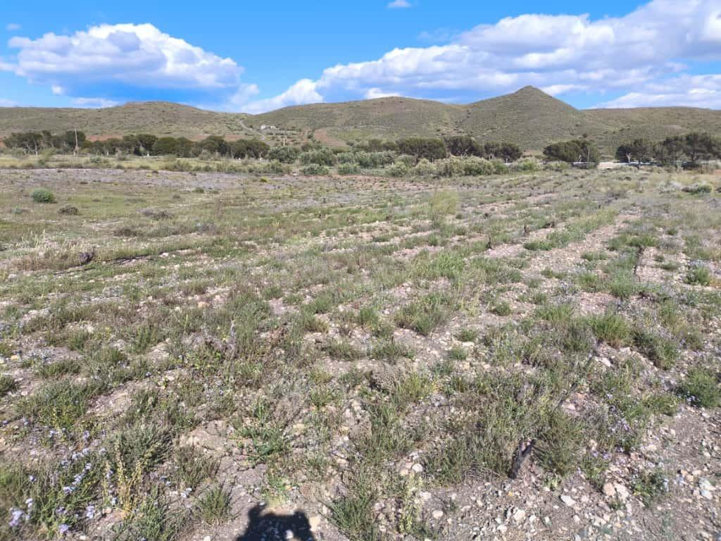 Terreno Rural en Venta en Alboloduy