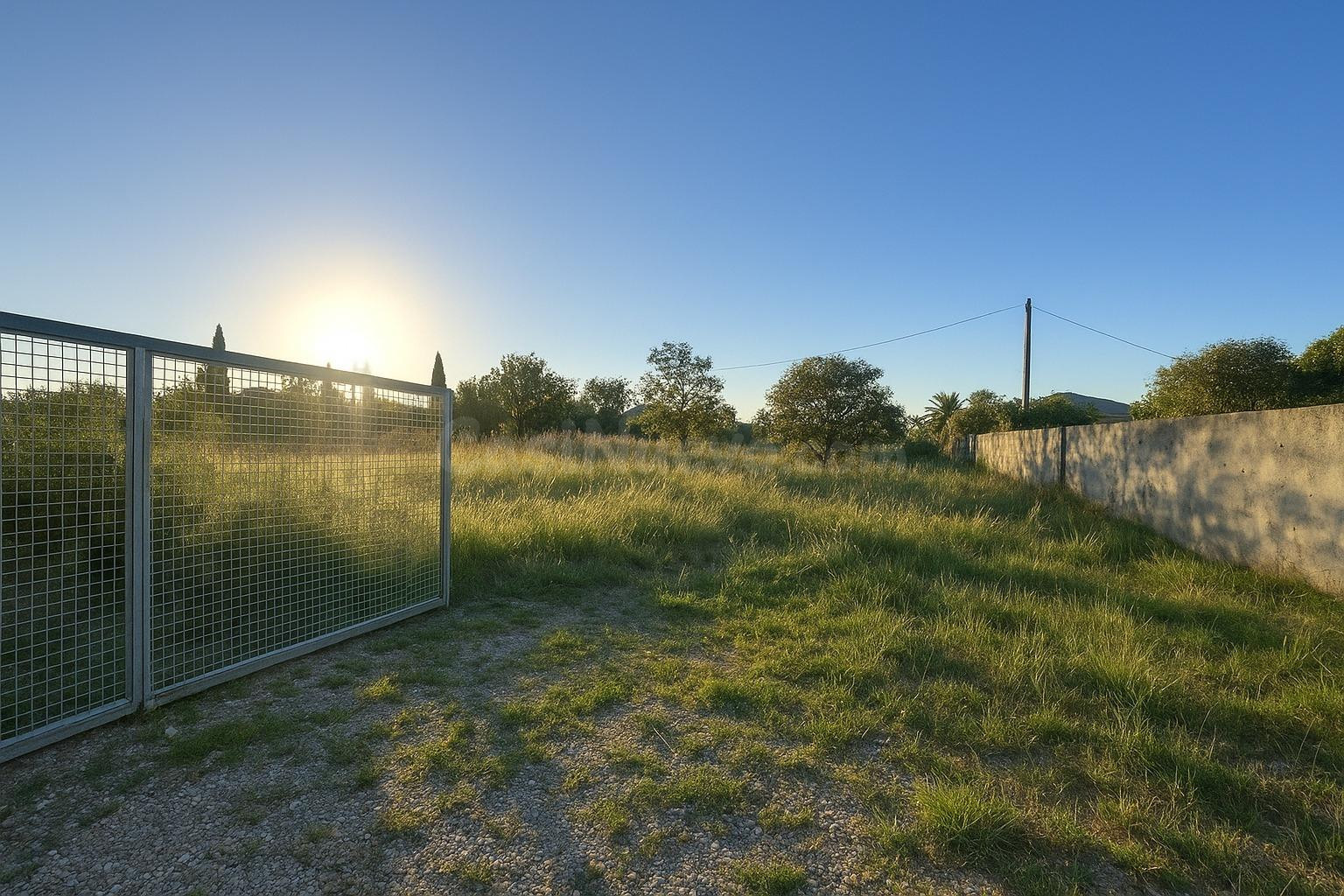 Terreno Rural en Carcaixent a la venta!
