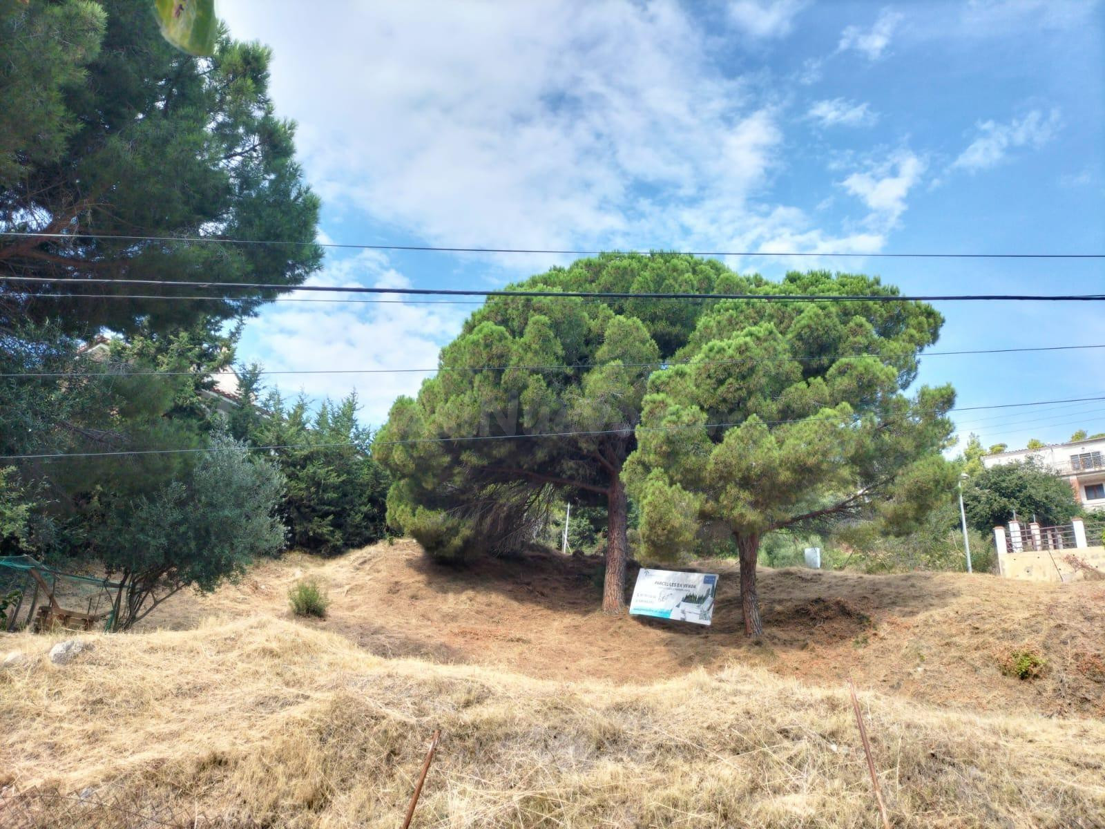 Solar edificable en venta  Pineda de Mar de 600 m2