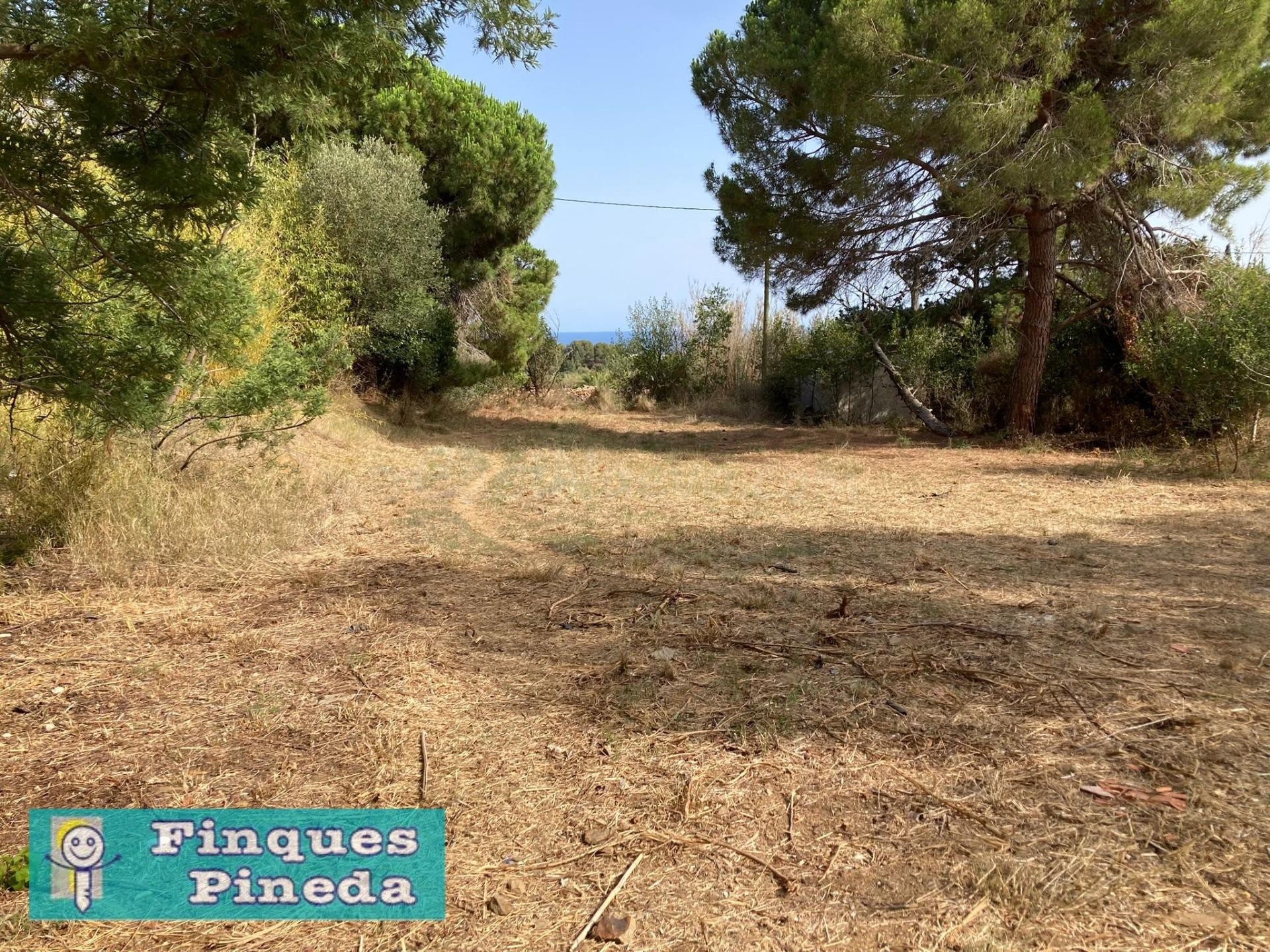 Finca rústica con suministros en Pineda de Mar