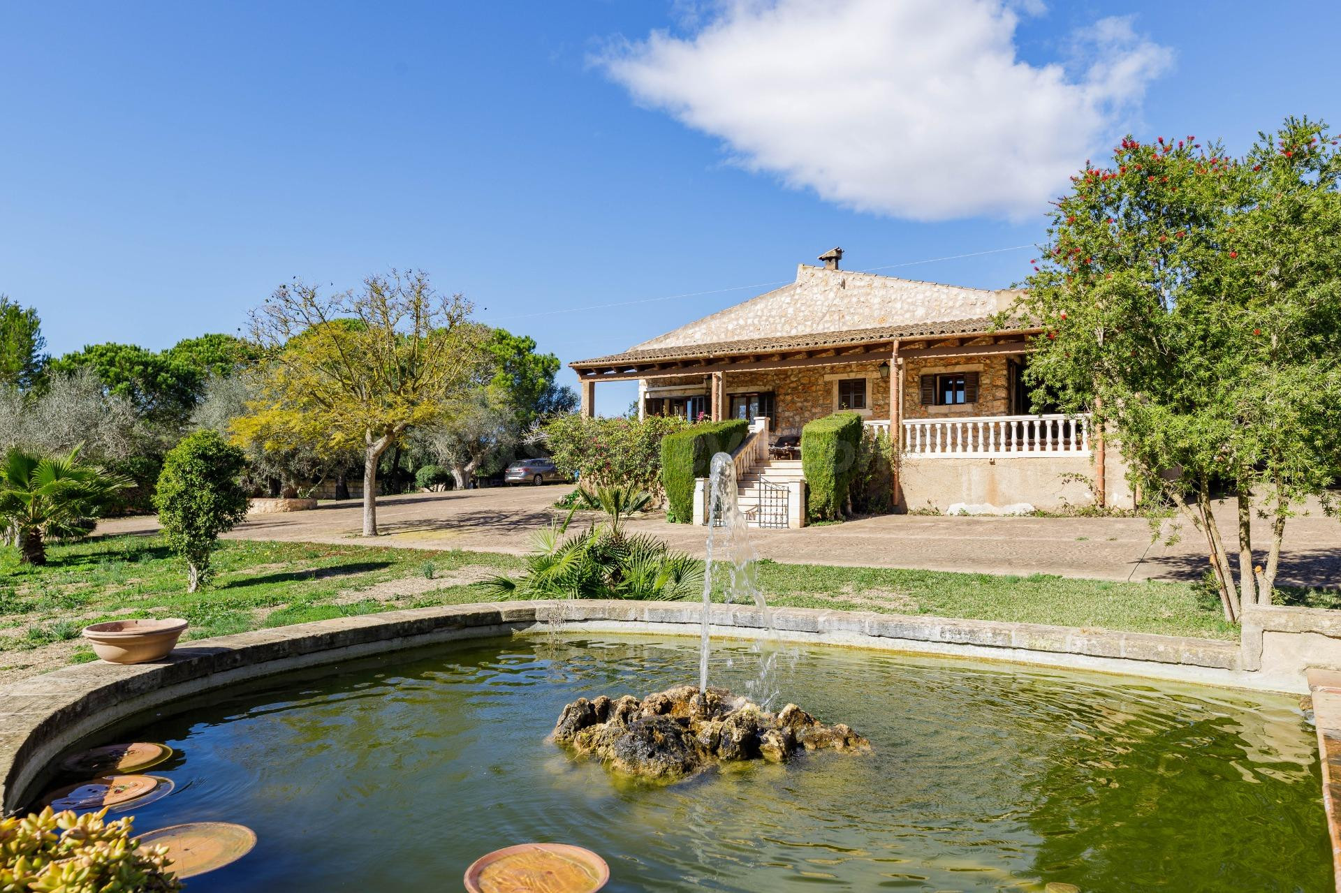Vive la elegancia rural: Tu oasis de luz a las afueras de Manacor.
