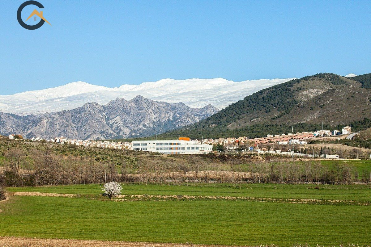 FINCA RÚSTICA EN  DILAR.
