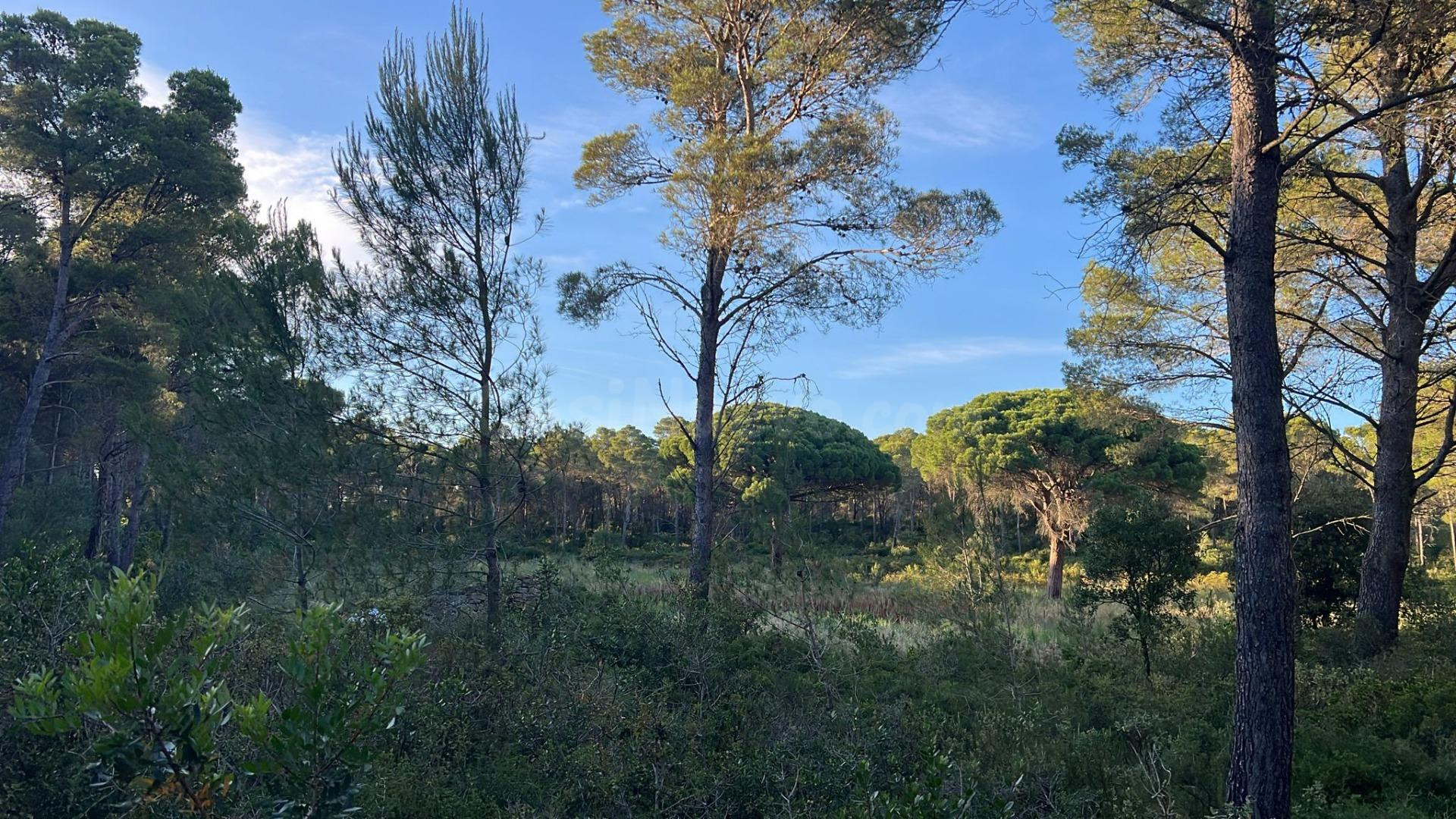 Impresionante Villa en Riells, L'Escala
