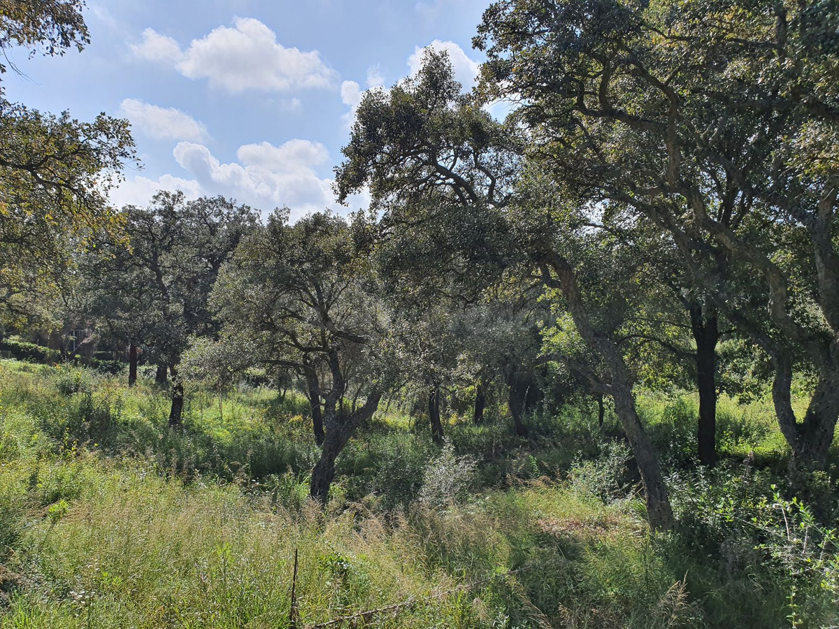 Parcela en venta - Valderrama