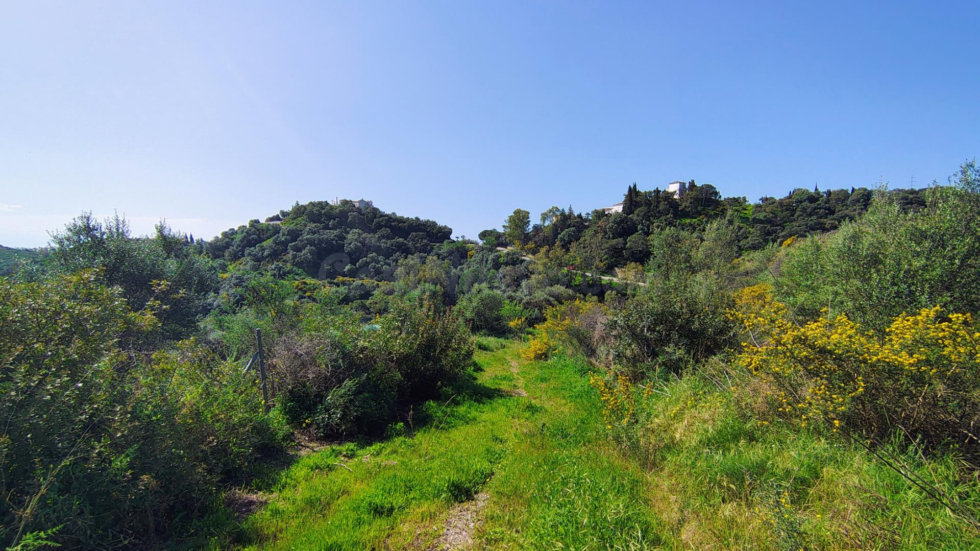 Oportunidad Inversores! Manzana Urbana de 3.835 m2 – Proyecto Multi-Villa o Segregación en Estepona