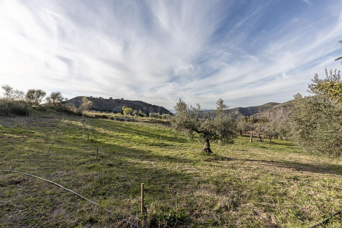 Finca rústica en Monachil