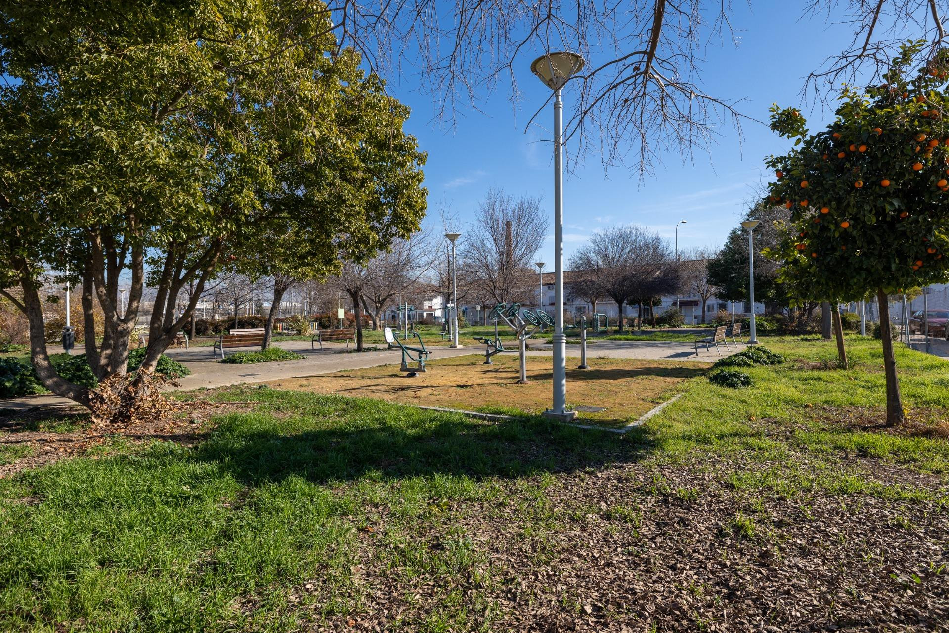 Parcelas listas para construir tu casa en Granada capital (Bobadilla) a un precio sin competencia