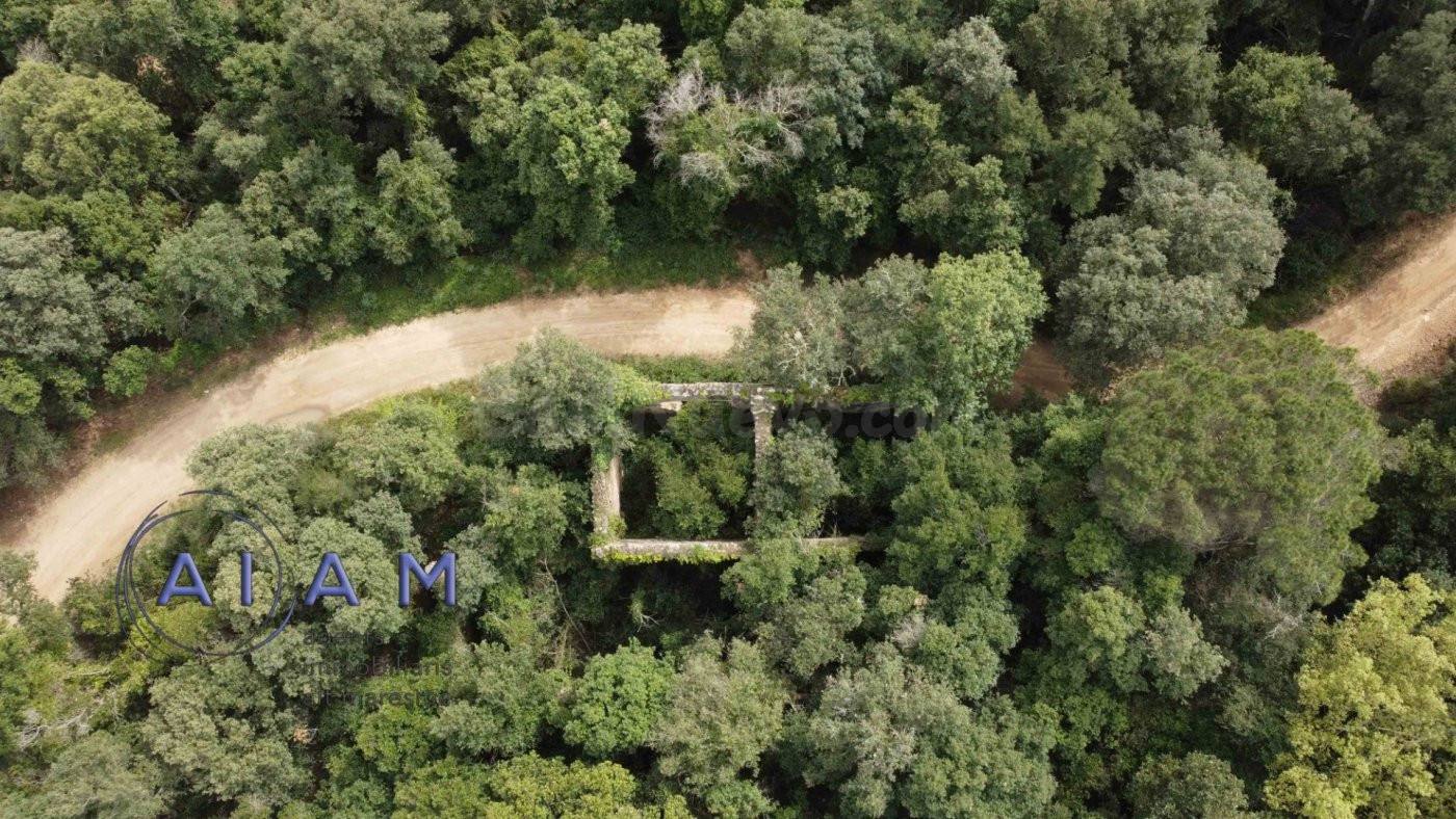 Masia en ruinas reconstruibles en Santa Susanna