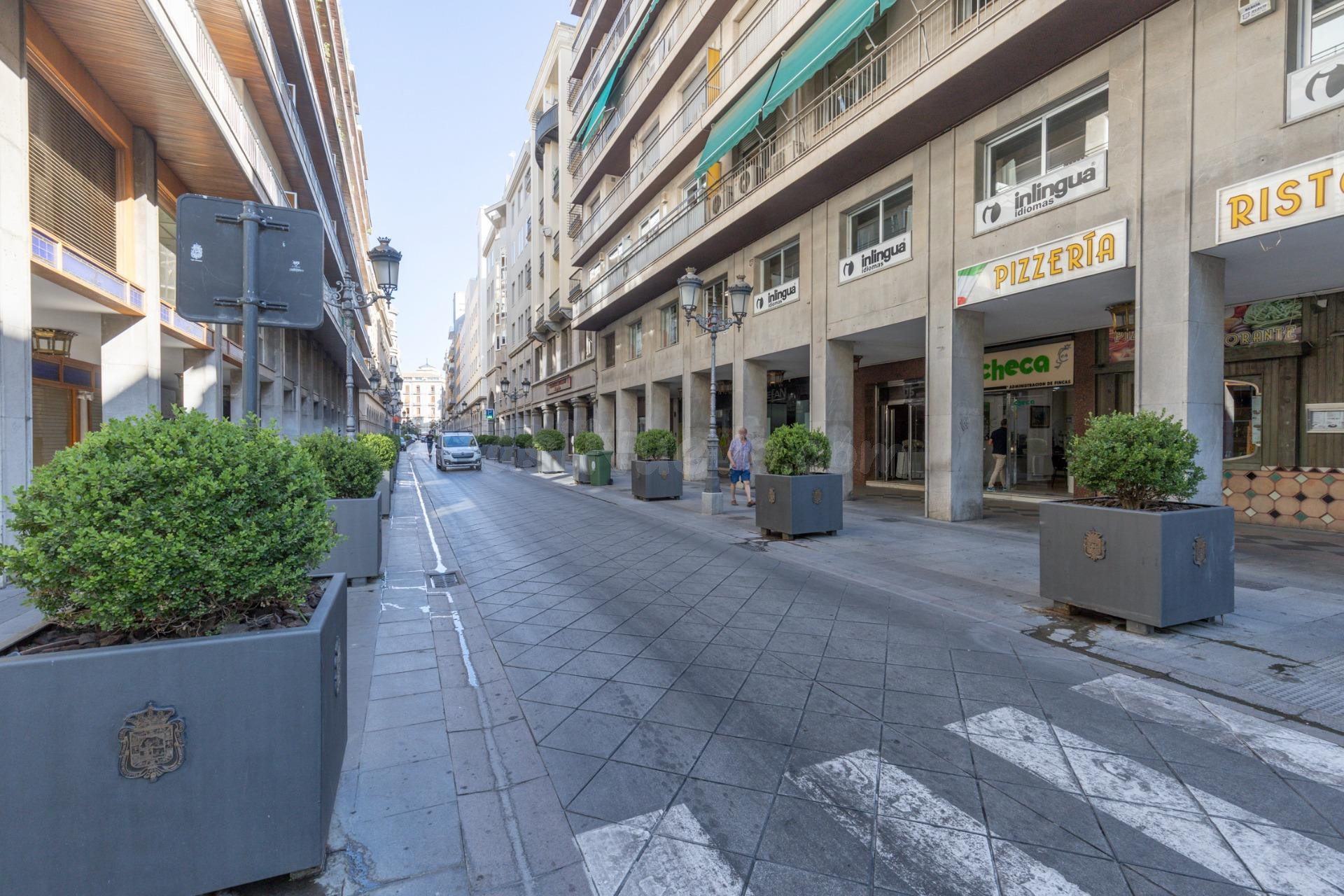 Espacio exclusivo en pleno centro de Granada - Ganivet