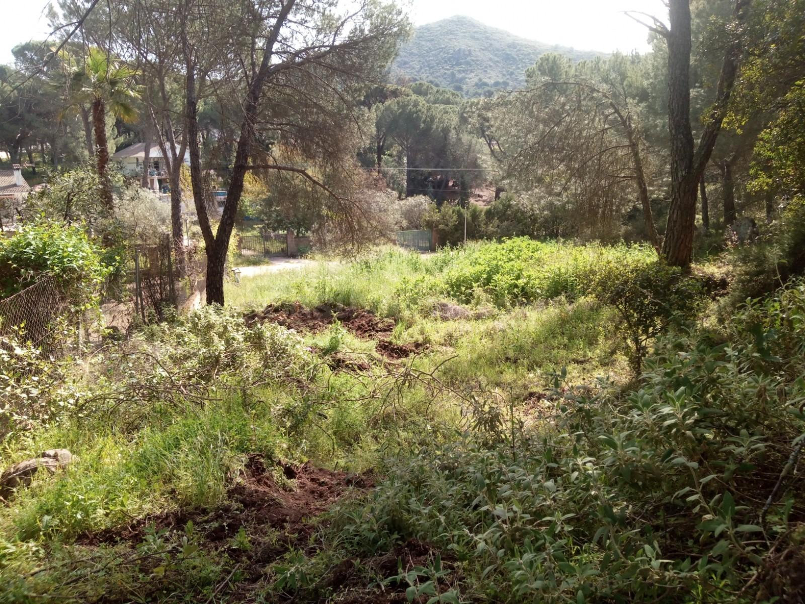 PARCELA URBANIZACIÓN JARAS