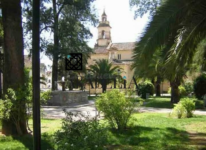 ¡JOYA HISTÓRICA EN ESQUINA! Casa Señorial con Garaje junto a la Magdalena