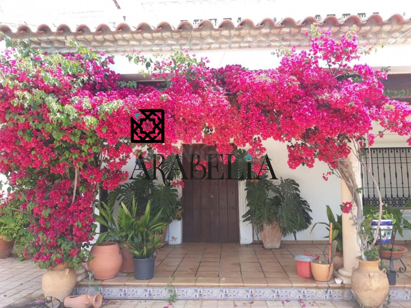 ZONA QUEMADILLAS