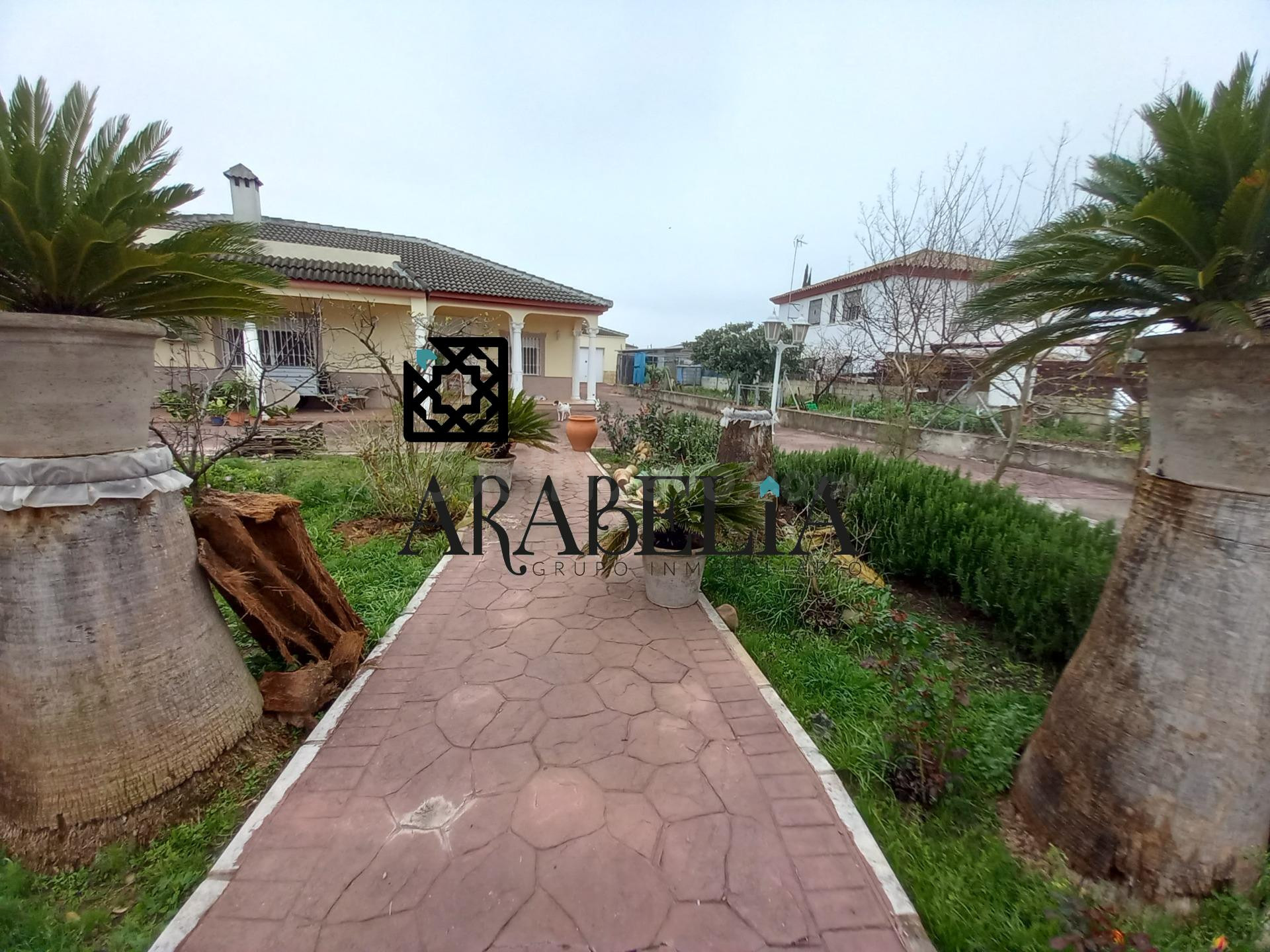 Preciosa casa con terreno en la zona de la campiñuela