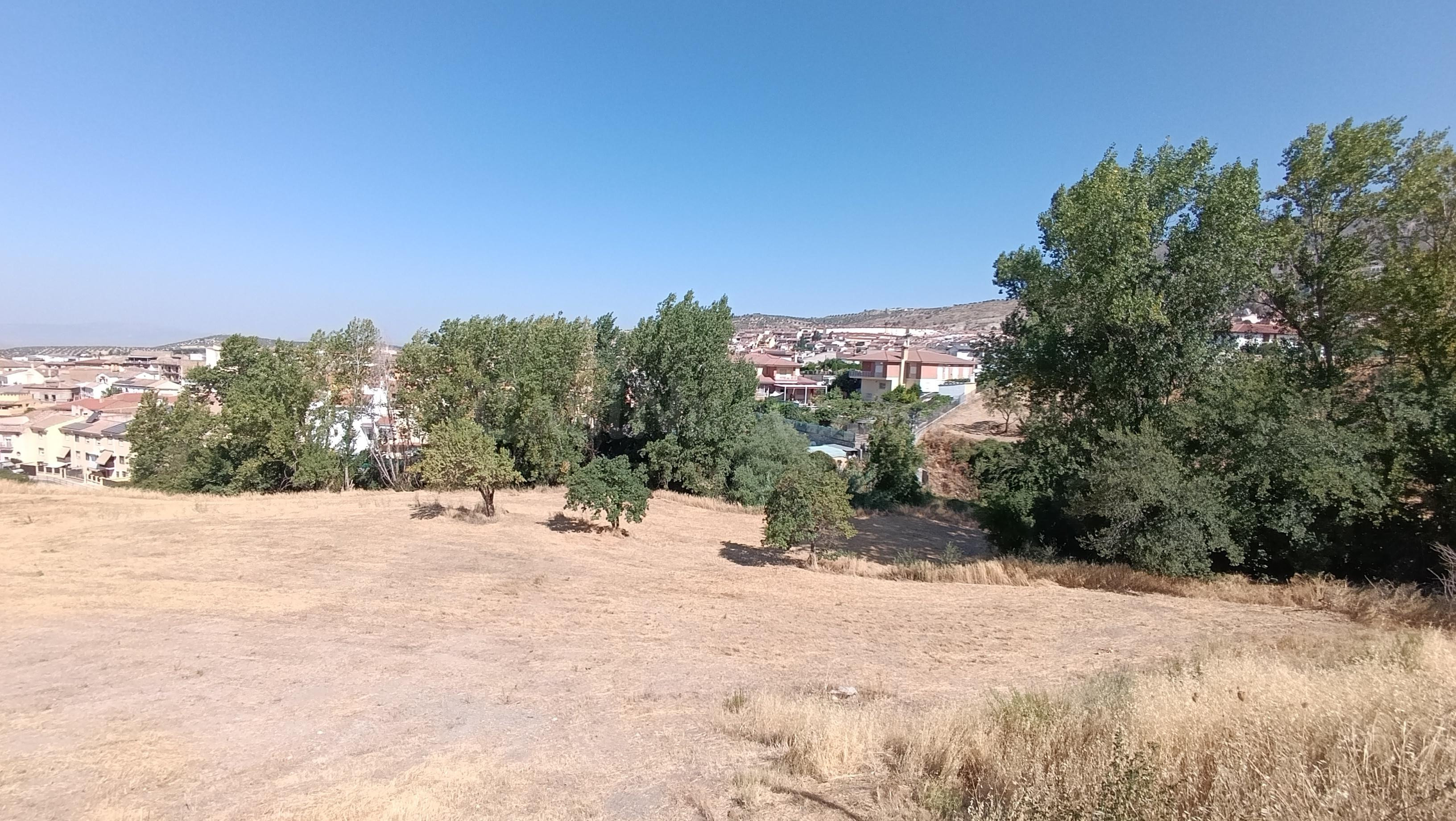 EN EL CORAZON DE ALFACAR TERRENO URBANO PARA CONSTRUIR URBANIZACIÓN