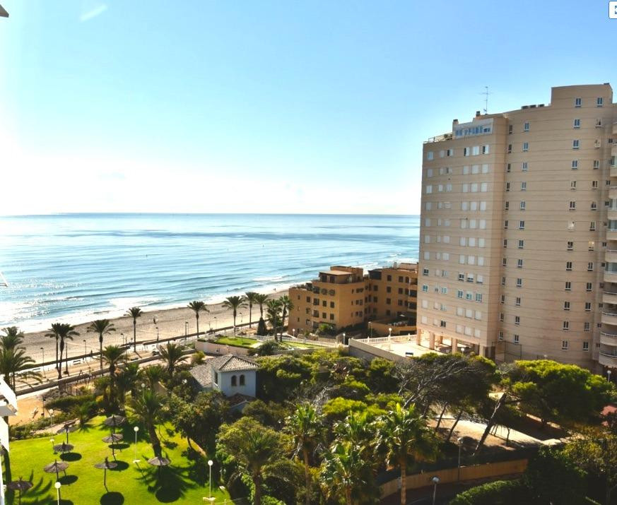 PLAYA MUCHAVISTA