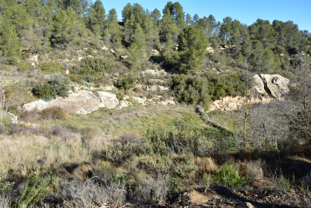 Finca rústica 33400m² en venta - Arenys de Lledo