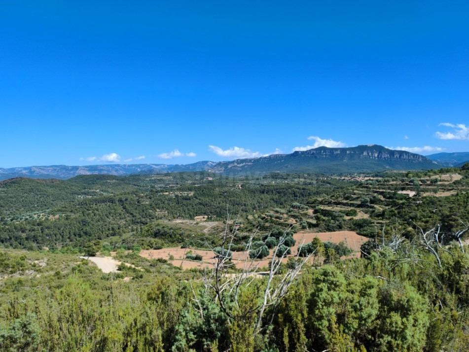 Finca rústica 14m² en venta - Aragon