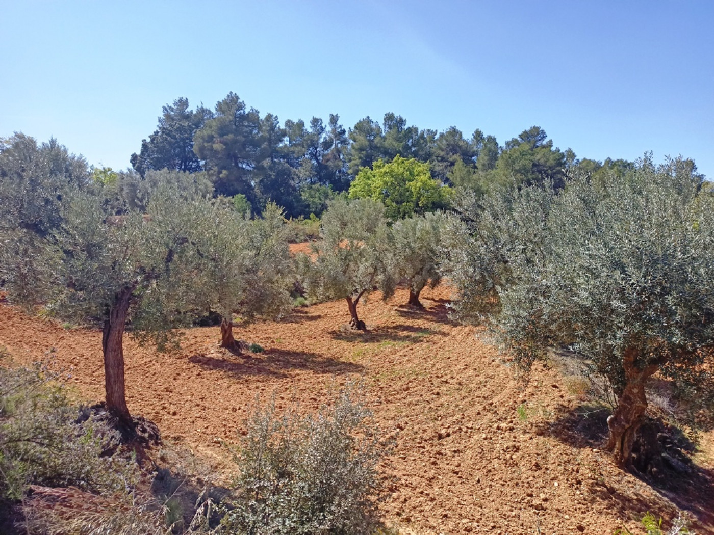 Finca rústica 10m² en venta - Cretas