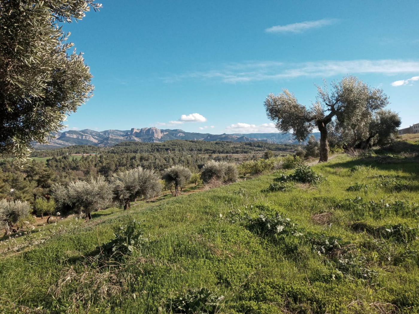 Solar en venta - Lledó