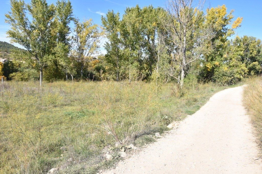 Finca rústica en venta - Próxima al pueblo