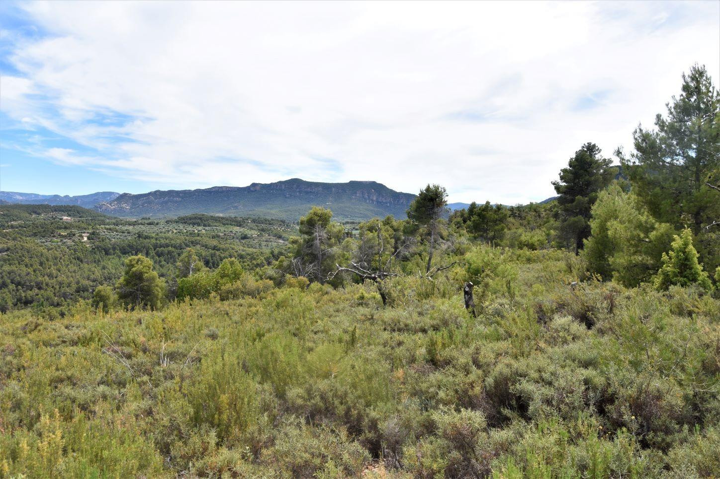Finca rústica 15m² en venta - Valderrobres