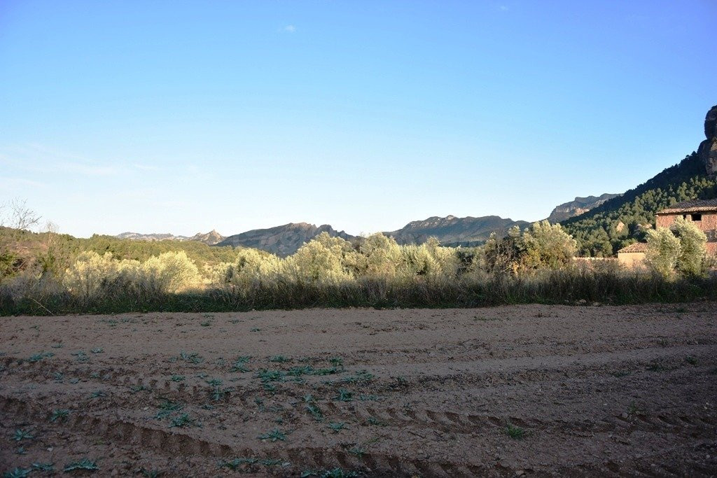 Huerto en Horta de Sant Joan