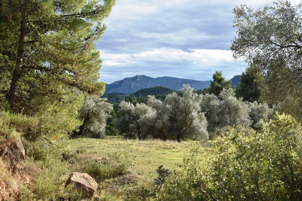 Finca rústica en venta - Próxima al pueblo
