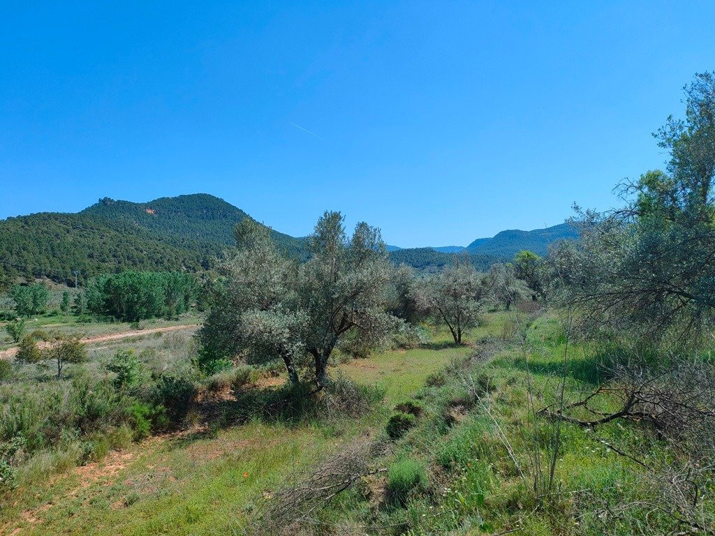 Finca rústica 1m² en venta - Tastavins