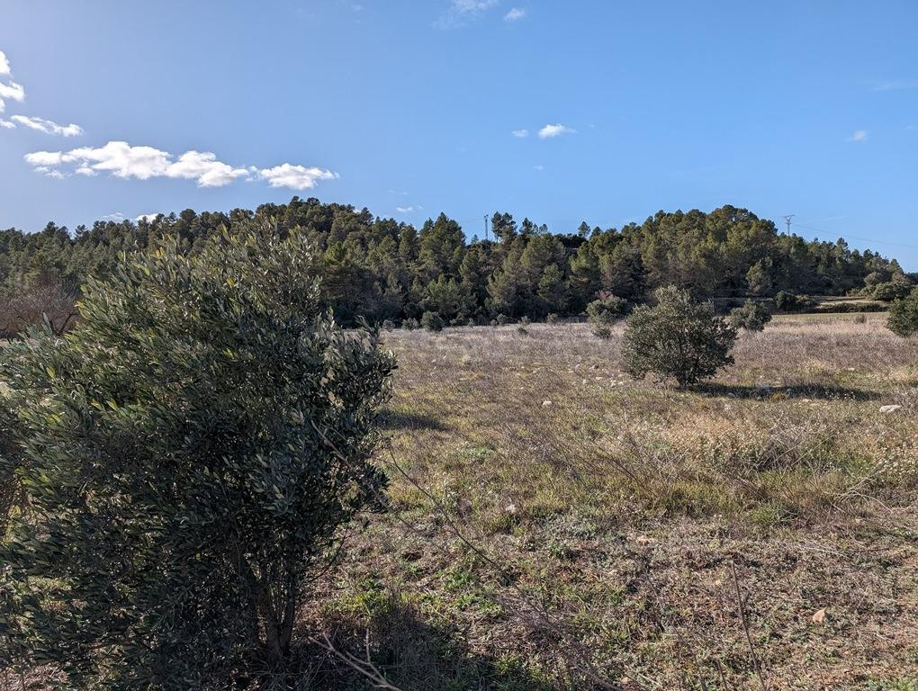 Finca rústica 11m² en venta - Arenys de Lledo