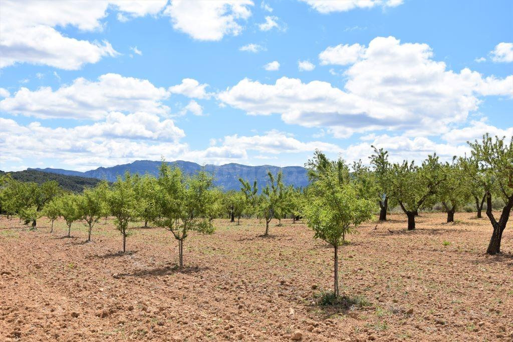 Finca rústica 11m² en venta - Arenys de Lledo