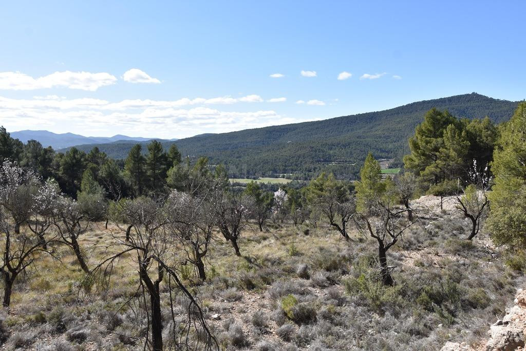 Finca rústica 11m² en venta - MatarraÑa