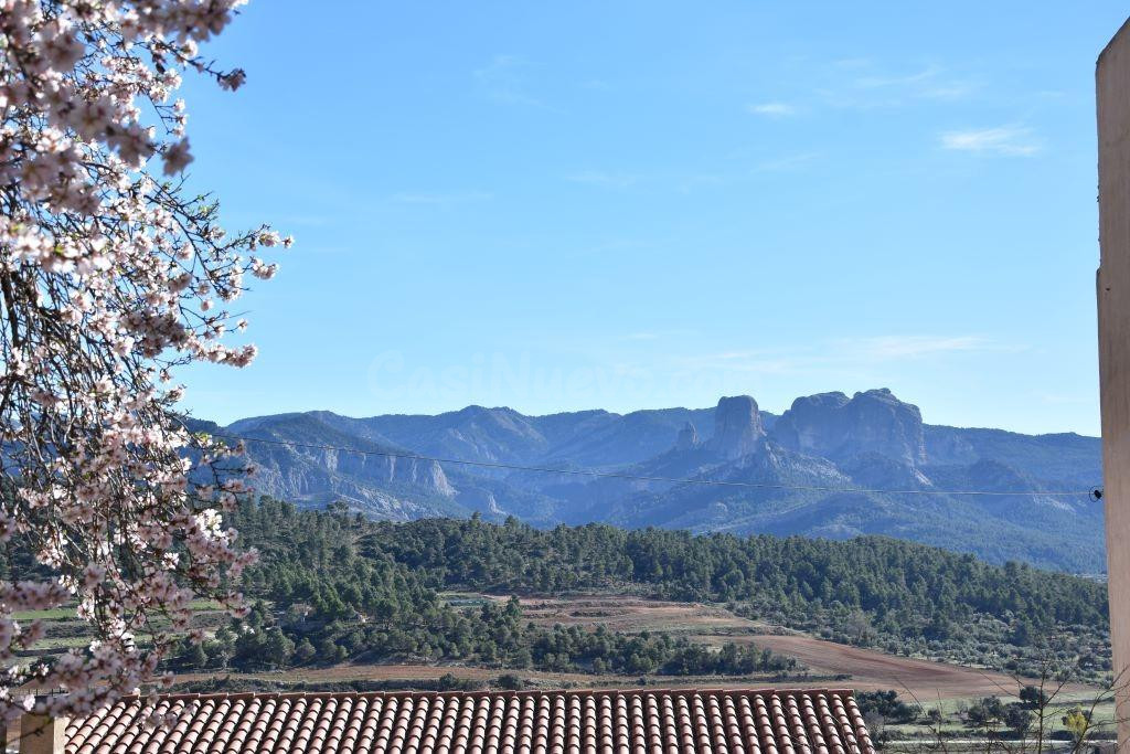 Solar en venta - Horta de sant joan