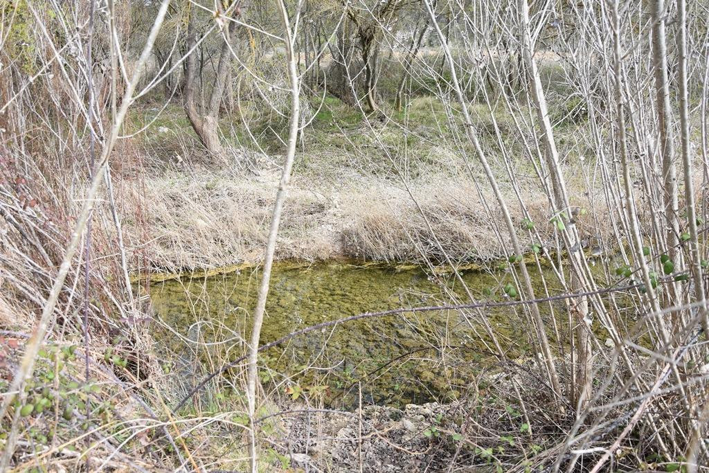 Finca rústica en venta - MatarraÑa