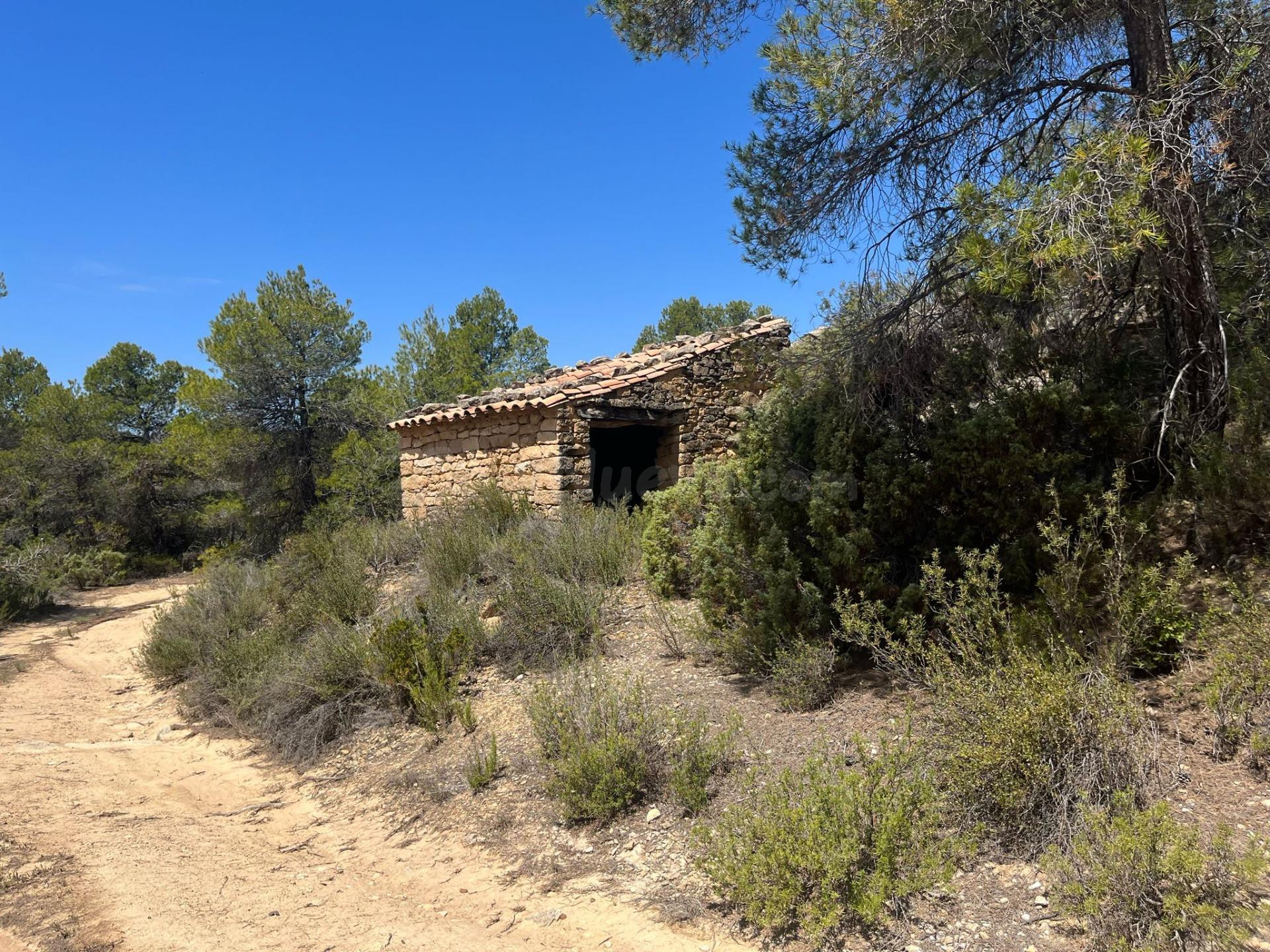 Finca en la montaña con privacidad