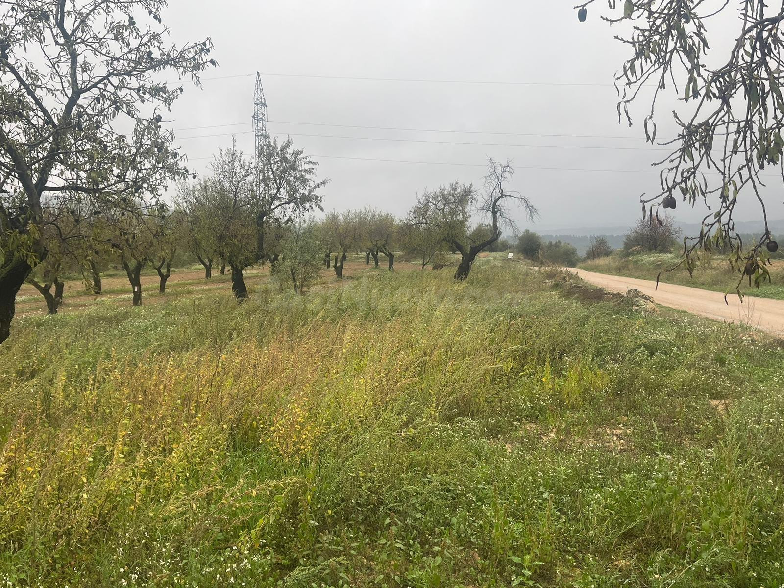 Finca rústica en La Fresneda