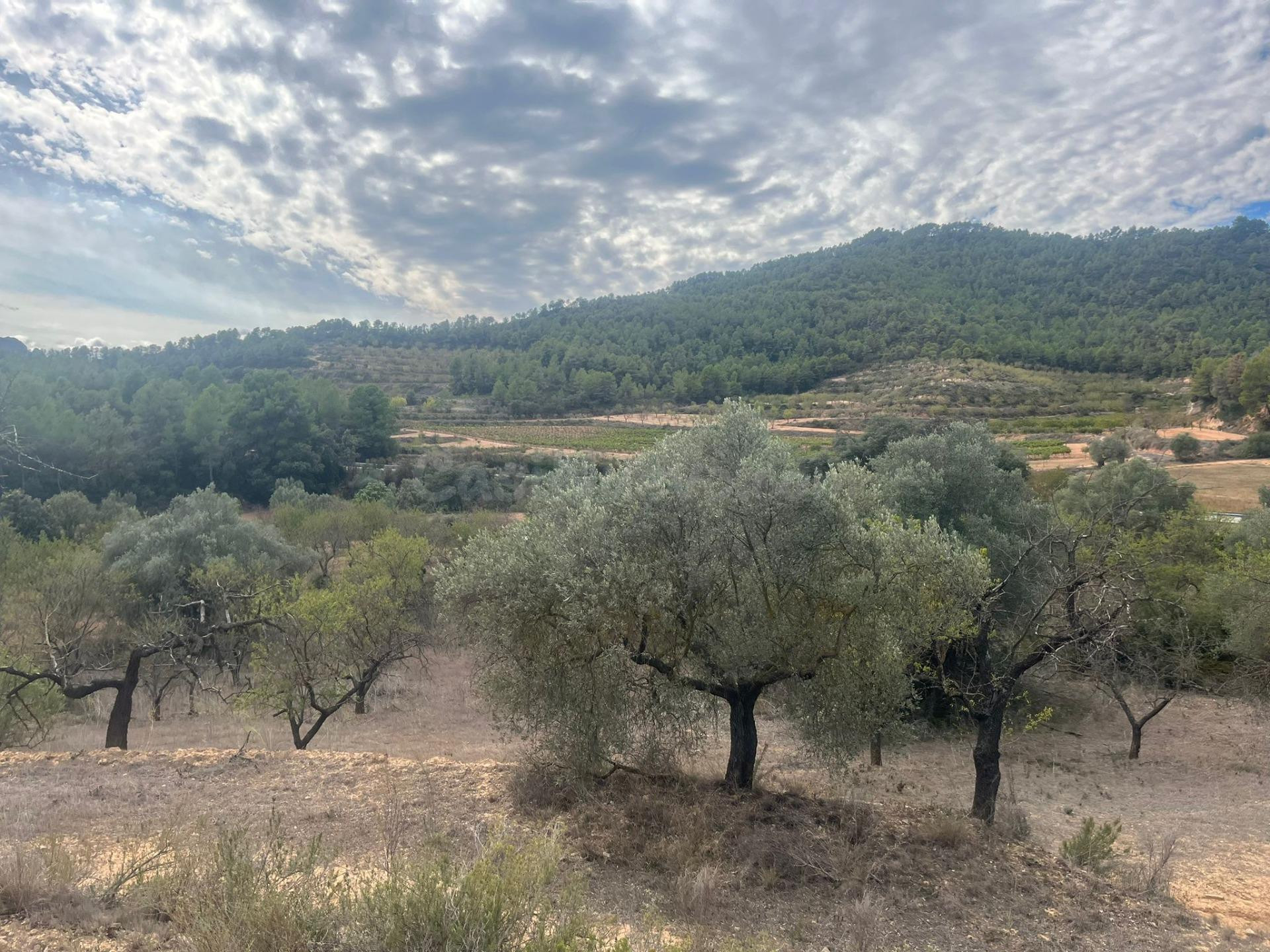 Finca en Horta de Sant Joan