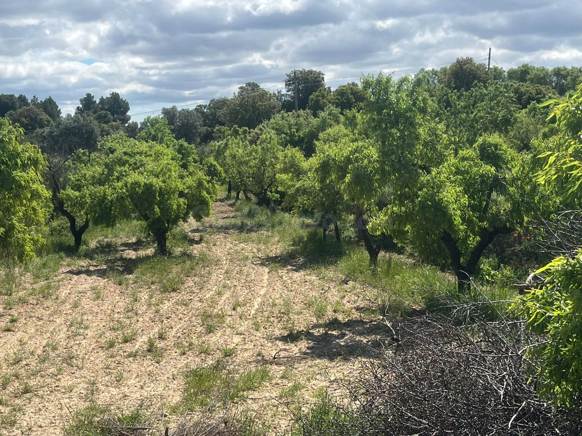 Finca rústica en La Fresneda