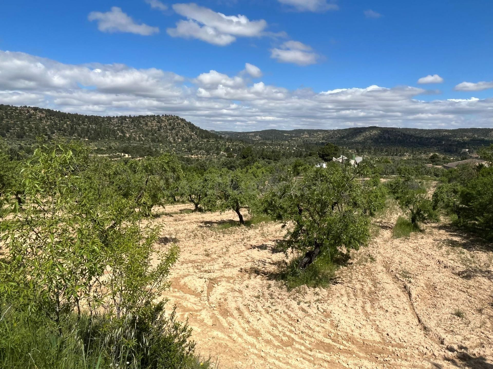 Finca rústica en La Fresneda