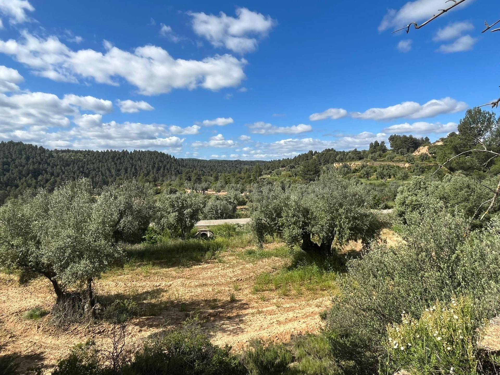 Finca rústica en La Fresneda