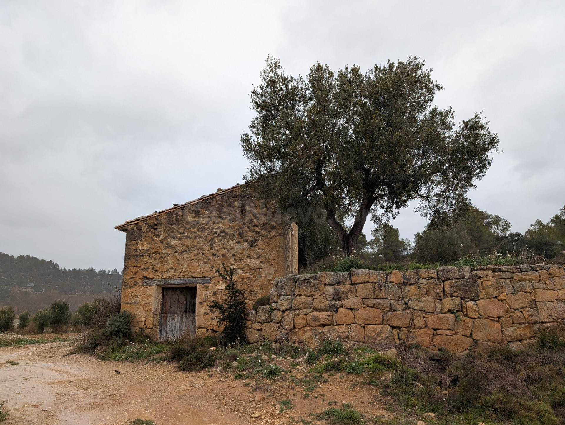 Finca rústica con maset en Torre del Compte