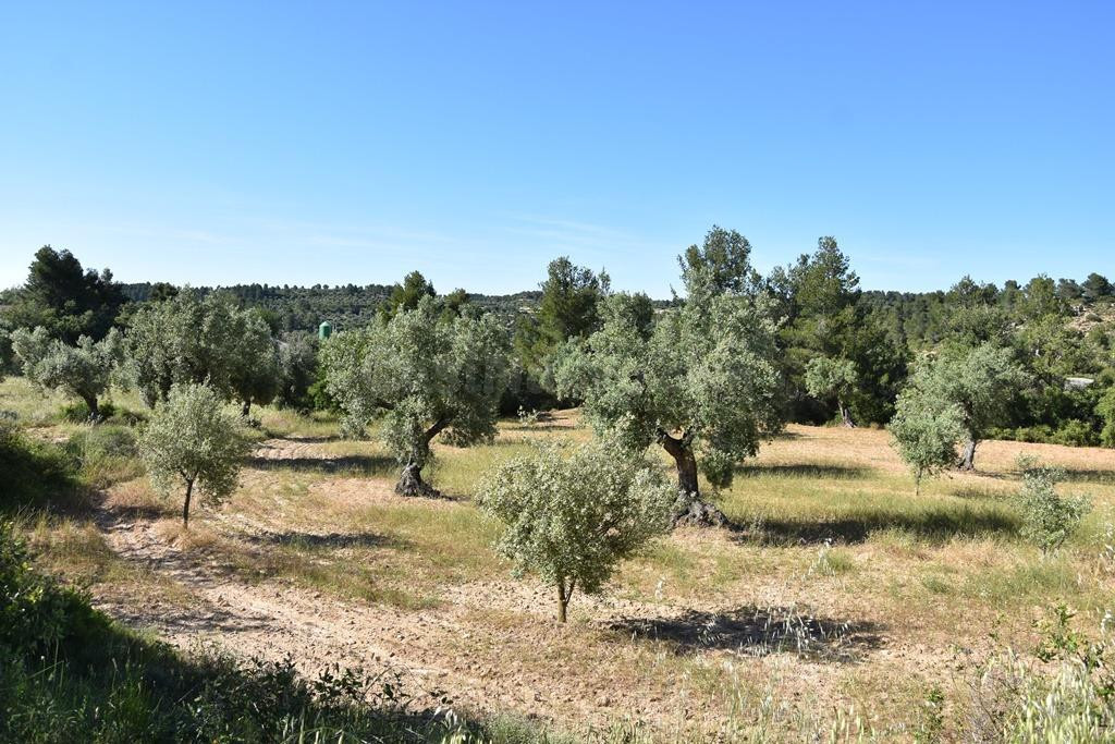 Finca rústica en Cretas