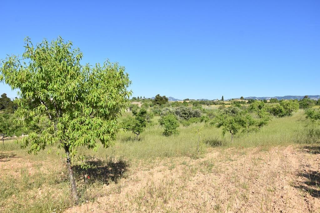 Finca rústica en Valderrobres