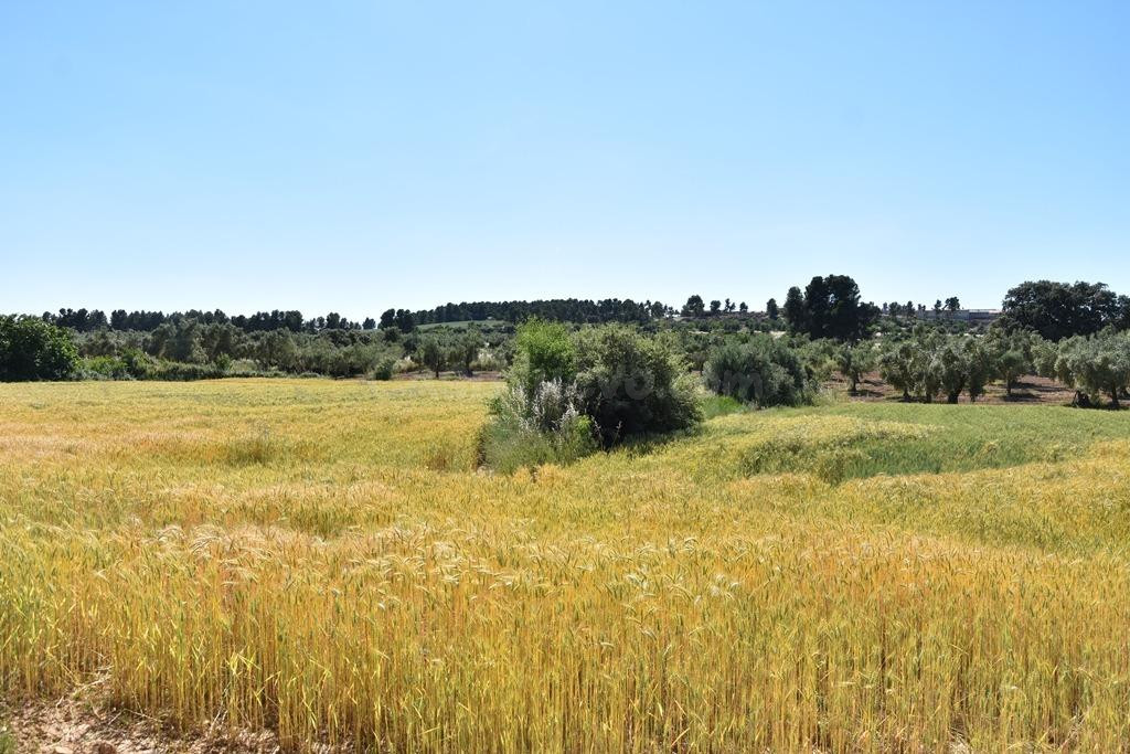 Finca rústica en Cretas