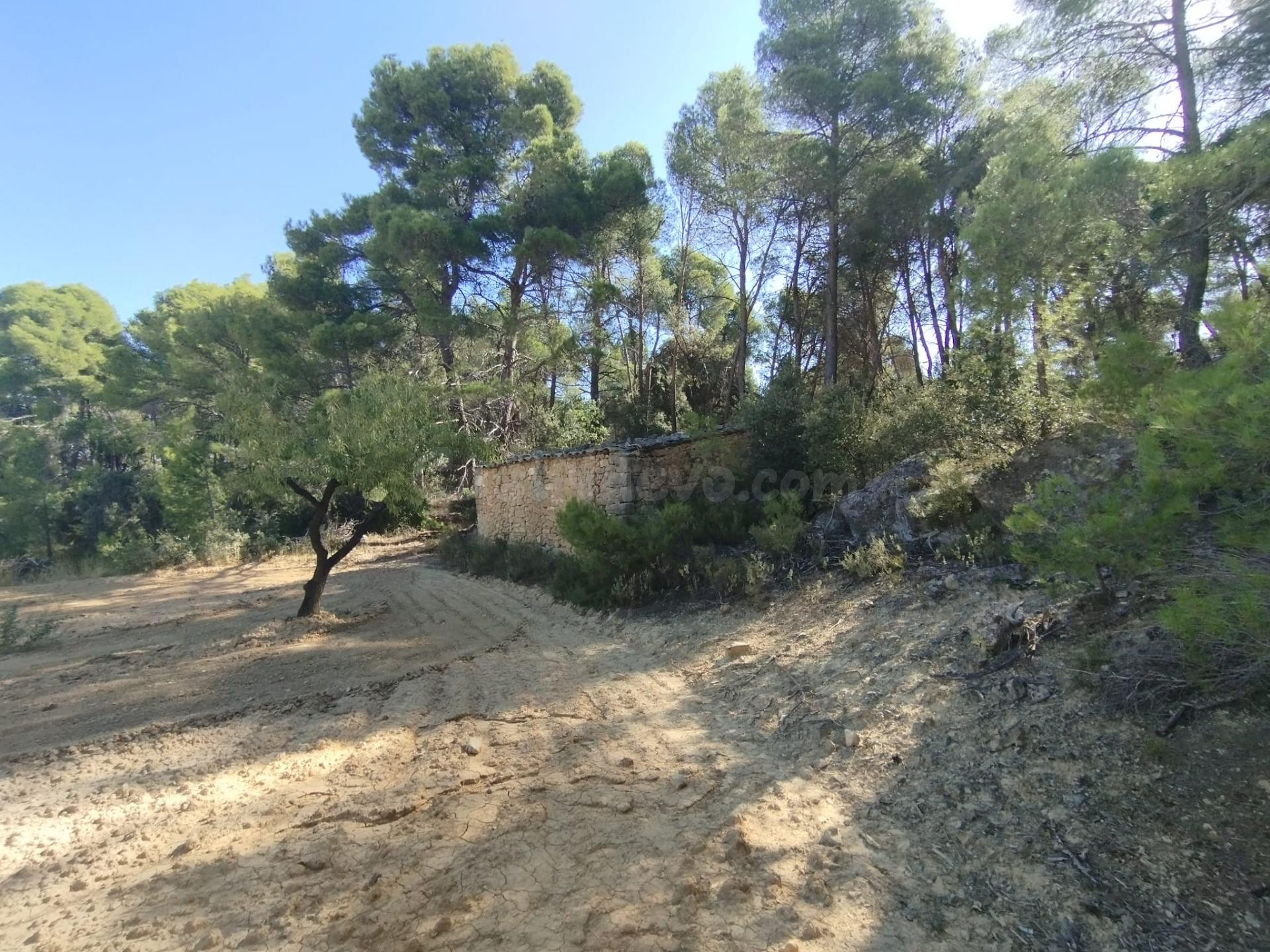 Finca rústica con maset en Valderrobres