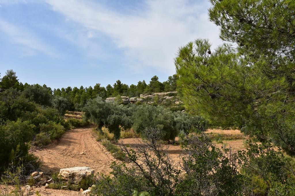 Finca rústica en La Fresneda