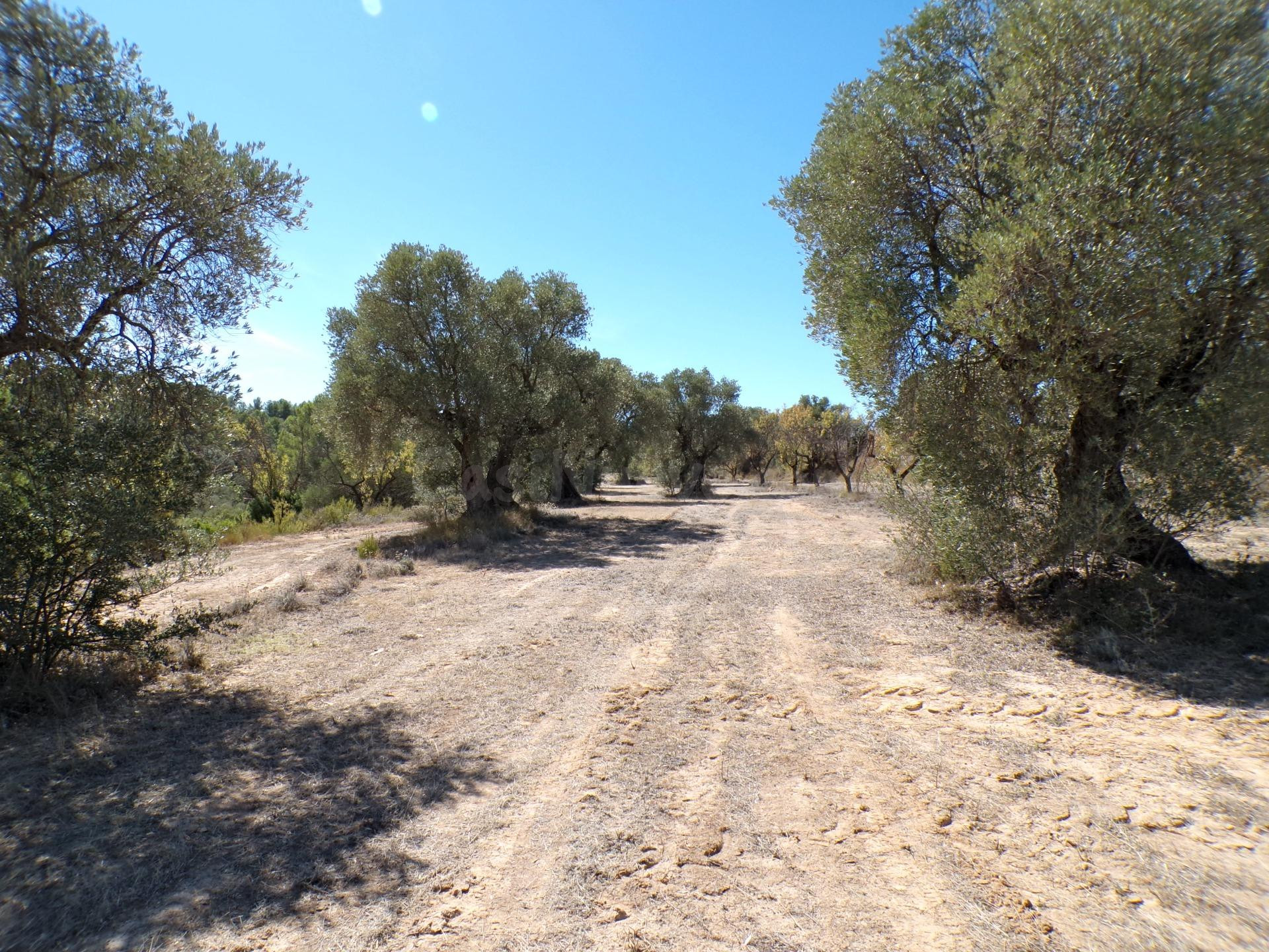 Finca rústica en Calaceite
